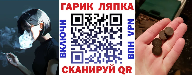 ГАШ гарик  Инсар 