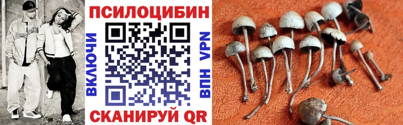 Псилоцибиновые грибы Magic Shrooms  omg ССЫЛКА  Инсар 